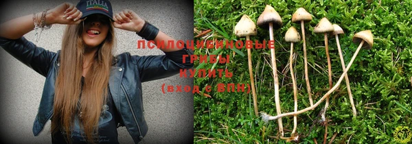 PSILOCYBIN Зеленокумск