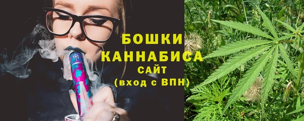 PSILOCYBIN Зеленокумск