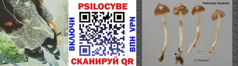 Псилоцибиновые грибы мицелий  Купить  Елизово 